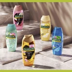 Гель для душу Palmolive Thermal Spa Mineral Massage 750 мл: ціни та характеристики