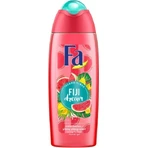 Fa гель для душа Fiji Dream 1×400 мл, гель для душа: цены и характеристики