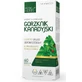 Канадская горлянка 60 капсул Medica Herbs