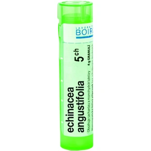 Boiron Echinacea Angustifolia CH5 гранулы 4 г