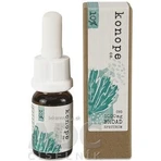Hemp co. 10% CBD в органическом аргановом масле - iroké Spectrum 1000 мг 1×10 мл, аргановое масло: цены и характеристики