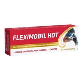 Флексимобіль гарячий емульгований гель, 50 г, Fiterman Pharma