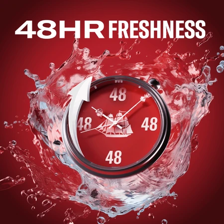 Old Spice, Оригінальний антиперспірант-стік, 50 мл: ціни та характеристики