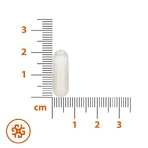 SEMA Lab Potassium, 60 твердых капсул: цены и характеристики