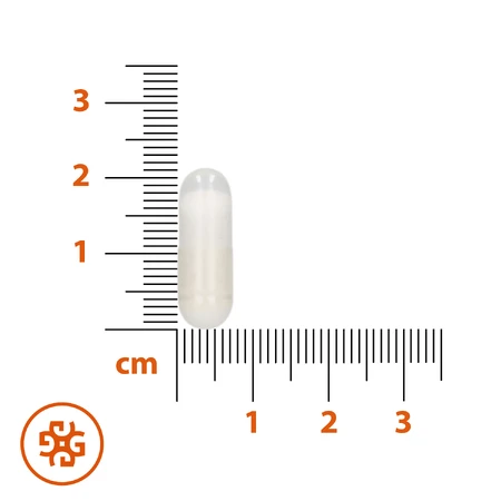 SEMA Lab Potassium, 60 твердых капсул: цены и характеристики