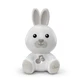 Музыкальный ночник Bunny Bunny Dream Light, + 0 месяцев, Chicco