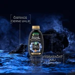 Очищувальний шампунь з магнітним вугіллям Garnier 400 мл: ціни та характеристики