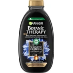 Очищувальний шампунь з магнітним вугіллям Garnier 400 мл: ціни та характеристики