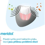 Meridol® Защита десен и нежное отбеливание Зубная паста для защиты десен и нежного отбеливания 3 x 75 мл: цены и характеристики