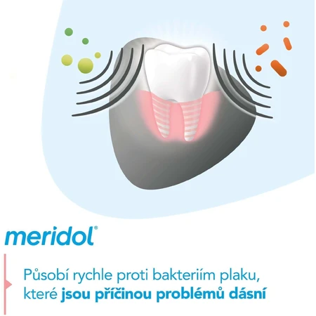 Meridol® Защита десен и нежное отбеливание Зубная паста для защиты десен и нежного отбеливания 3 x 75 мл: цены и характеристики