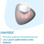 Meridol® Защита десен и нежное отбеливание Зубная паста для защиты десен и нежного отбеливания 3 x 75 мл: цены и характеристики