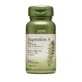 Гуперзин А 50 мкг Herbal Plus (196312), 50 капсул, GNC