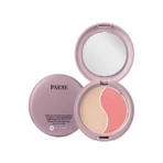 Paese Nanorevit Glow Duo Effect Blush and Highlighting Powder 100, 4,5 г: цены и характеристики