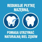 Listerine Stay White, ополіскувач для порожнини рота, 500 мл: ціни та характеристики