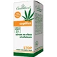 Cannaderm CAPILLUS сыворотка для волос себорея 1×40 мл, выпадение волос