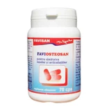 Фавіостеозан, 70 капсул, Favisan