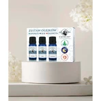 Набір N-Active Oil Calm & Sleep & Energy, натуральні ефірні олії, 3 x 10 мл: ціни та характеристики
