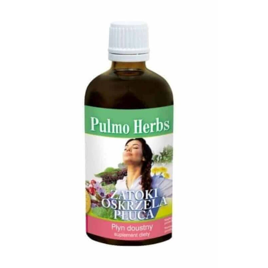 Pulmo Herbs - синус-бронх пука 100 мл Inwent Herbs: ціни та характеристики