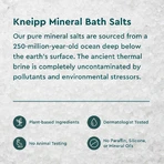 Kneipp Mindful Forest Йод и сосна, кристаллы минеральной соли для ванн, 500 г: цены и характеристики
