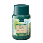 Kneipp Mindful Forest Йод и сосна, кристаллы минеральной соли для ванн, 500 г: цены и характеристики