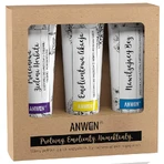 Anwen Set, Кондиціонери для волосся з низькою пористістю, 3 x 100 мл: ціни та характеристики