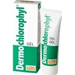 Dr. Müller DERMO CHLOROPHYL GEL 1×50 мл, гель для какашек: цены и характеристики