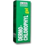 Dr. Müller DERMO CHLOROPHYL GEL 1×50 мл, гель для какашек: цены и характеристики