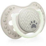 LOVI Динамічна пустушка Buddy Bear 3-6м 2 шт: ціни та характеристики