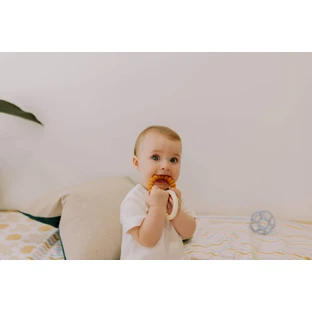 Jellystone Designs Teether Sun, голубой/розовый