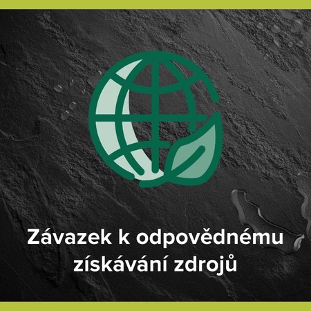 Palmolive Men Енергетичний гель для душу 3в1 для чоловіків 500 мл: ціни та характеристики