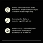 Мумійо очищене, 60 таблеток: ціни та характеристики