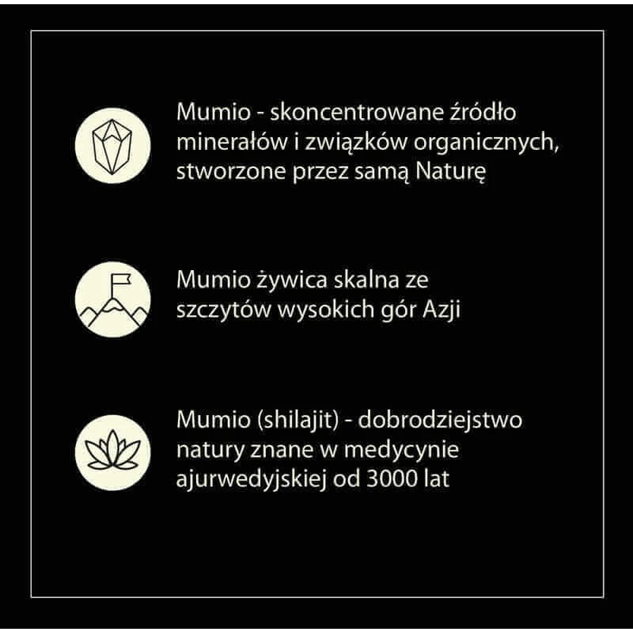 Мумійо очищене, 60 таблеток: ціни та характеристики