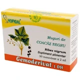 Black Coacz Buds Gemoderivat Hofigal, 30 монодоз по 2 мл
