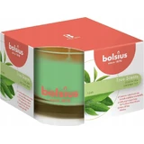 Bolsius Aromatic 2.0 Glass Green Tea ароматическая свеча 1×1 шт, размер 90 x 63 мм