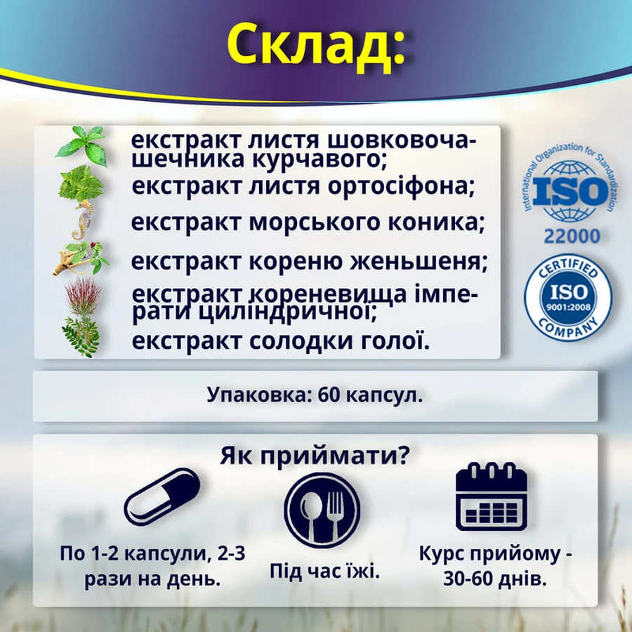 Пролит суперкапсулы 600 мг №60 для почек и при заболеваниях: нефрит, пиелонефрит, мочекаменной болезни и песка в почках: цены и характеристики