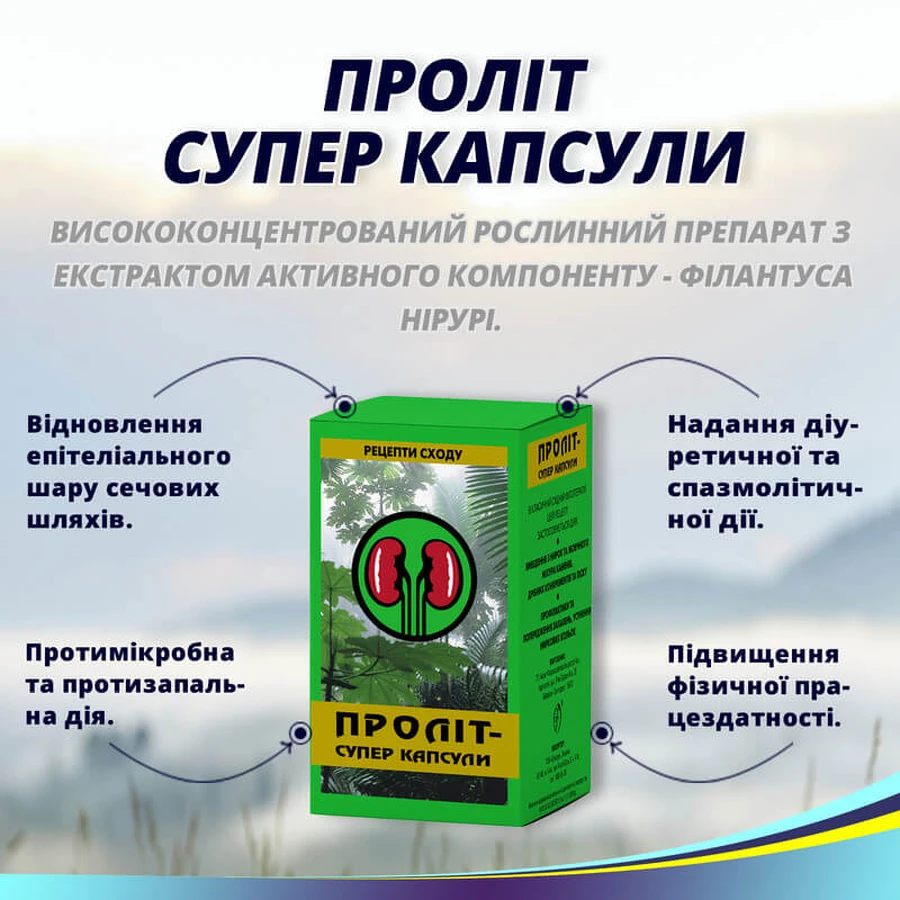 Пролит суперкапсулы 600 мг №60 для почек и при заболеваниях: нефрит, пиелонефрит, мочекаменной болезни и песка в почках: цены и характеристики