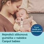 Canpol babies Набір симетричних силіконових пустушок BONJOUR PARIS ручна 6-18м 2 шт: ціни та характеристики