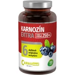 CarnoMed Карнозин EXTRA Pure&Strong 100 капсул: цены и характеристики