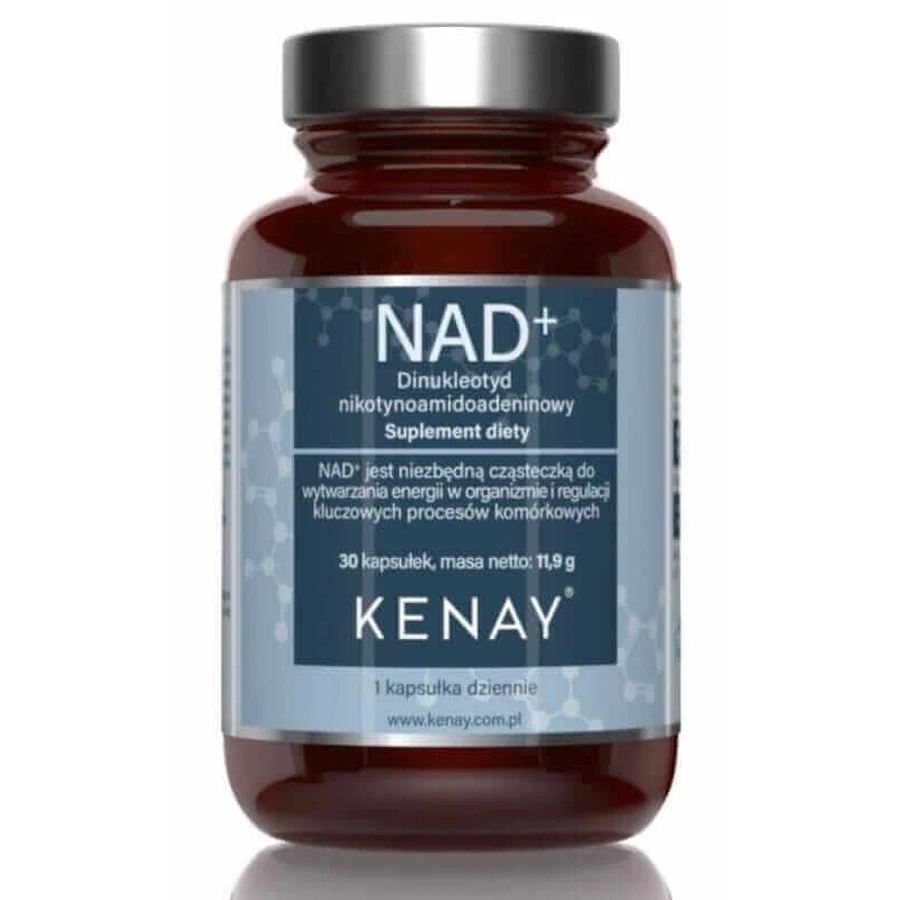 NAD+ Нікотинамід аденіндинуклеотид 30 капсул vege Kenay: ціни та характеристики