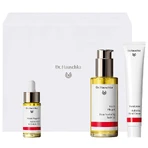 Набір для тіла Dr. Hauschka Beautiful, зволожуючий крем для рук, 50 мл + олія для догляду за шкірою, 75 мл + олія для догляду за нігтями, 18 мл: ціни та характеристики