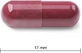 ДЖЕЙМІСОН РЕЗВЕРАТРОЛ 50 мг 1×30 капсул, дієтична добавка