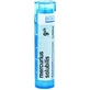 Boiron Mercurius Solubilis CH9 гранулы 4 г