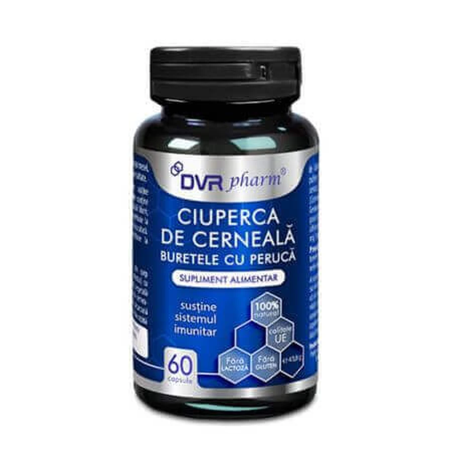 Чернильный порошок, 60 капсул, DVR Pharm: цены и характеристики