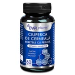 Чернильный порошок, 60 капсул, DVR Pharm: цены и характеристики