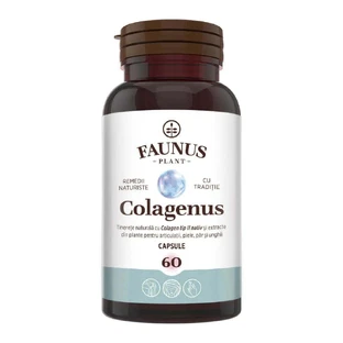 Коллаген 2 типа Faunus Plant Colagenus, для суставов, костей, кожи и волос, 60 капсул