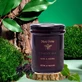 Польский мед Juice & Honey, бузина, 250 г