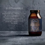 Гидролизованный морской коллаген Wild Collagen, 200 г, Ancient and Brave: цены и характеристики