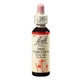Капли Flower Remedy Красный каштан Красный каштан Original Bach, 20 мл, Rescue Remedy