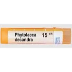 Boiron Phytolacca Decandra CH15 гранулы 4 г: цены и характеристики