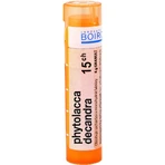 Boiron Phytolacca Decandra CH15 гранулы 4 г: цены и характеристики